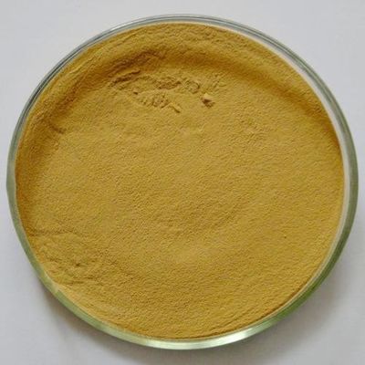 GMP het Kosjer Natuurlijke Sophora Japonica Dihydraat 95% van Uittrekselquercetine