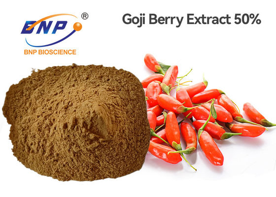 Lycium Berry Wolfberry Extract Powder 80 Netwerk50% Polysaccharide