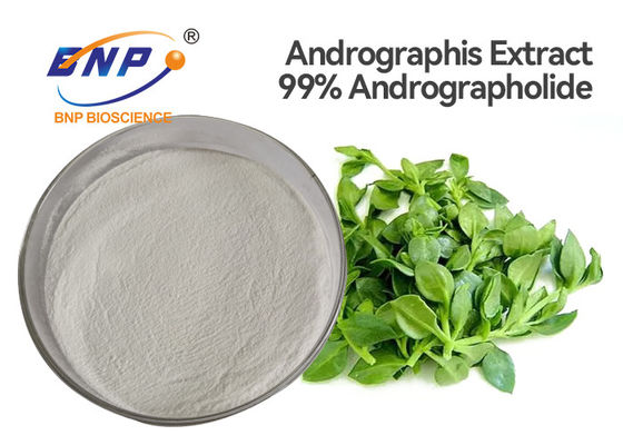 De Natuurlijke Antibacteriële Supplementen Andrographis Paniculata Burm F Nees van 99% Andrographolide