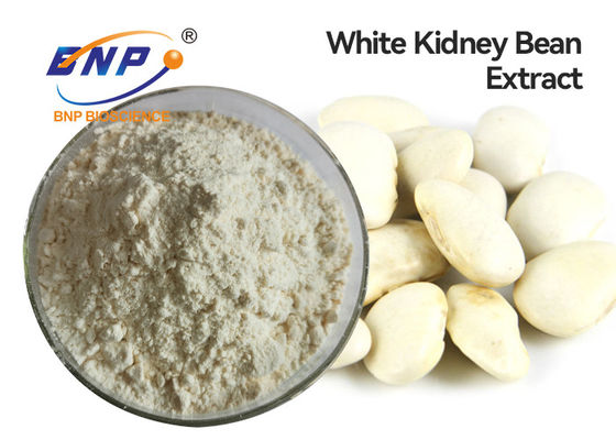 Het voedingsverlies van Bean Phaseolamin Extract White Weight van de Supplementennier