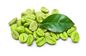 Groene het Voedselrang van Koffiebean extract chlorogenic acid 50%