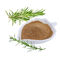 Hoog GMP - kwaliteit Rosemary Extract met het Zuur en Carnosol van 5% Carnosic