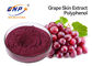 20% Polyphenol het Uittreksel Vitis vinifera Sambucus Nigra L. van de Rode Druivenhuid.