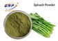 Het groene Fijne Uittreksel Juice Powder 80 van het Spinazieblad Mesh High Temperature Sterilization