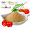 Farmaceutische Industrie Acerola Verklaard Cherry Powder Vintamin C 10% GMP