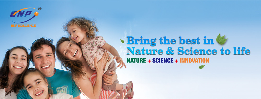 kwaliteit Natuurlijke Installatieuittreksels fabriek