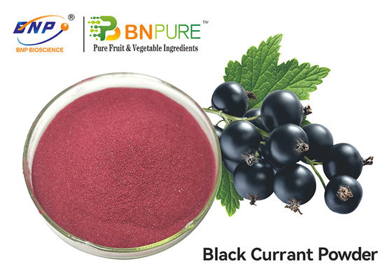 Purper Rood Blackcurrant het Fruituittreksel van Juice Powder Food Grade Ribes Nigrum