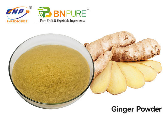 Zingiber Officinale Bruin Ginger Root Extract Powder Yellow
