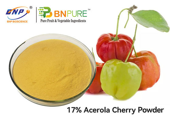 Hoog - kwaliteit anti-Veroudert 17%-Vitamine C Acerola Cherry Extract Powder