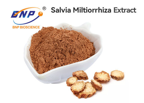 De Fabriek van hoogste Kwaliteitssalvia root extract from BNP
