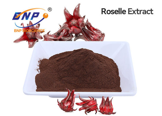 Het Bruine Rode Poeder van Roselle Extract Anthocyanins