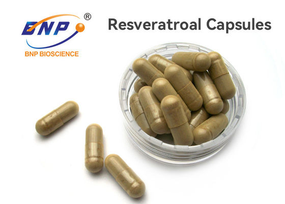 100% natuurlijke OEM Supplement100mg Resveratrol Capsules