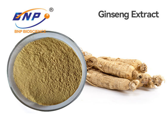 Panax Ginsengca Meyer Natural Plant Extracts Ginsenoside 5%