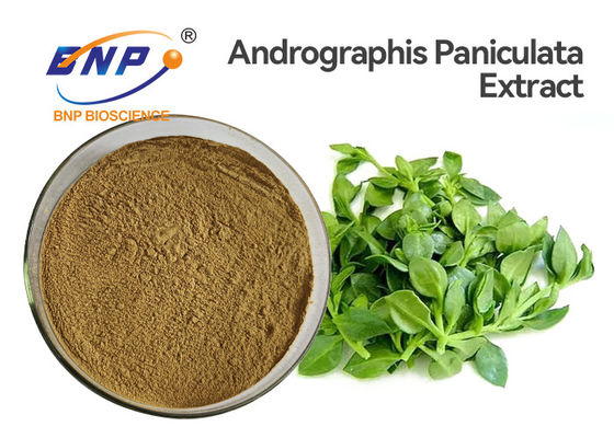 Antiviral HPLC van het het Uittrekselpoeder 50% Andrographolide van Andrographis Paniculata