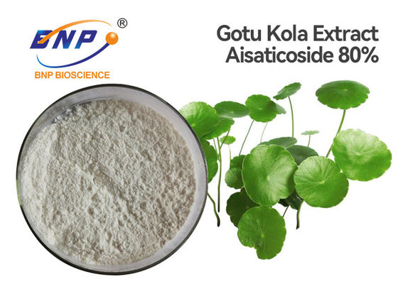 Asiaticoside80% Centella Asiatica Uittreksel voor Huid Witte Gotu Kola Extract Powder