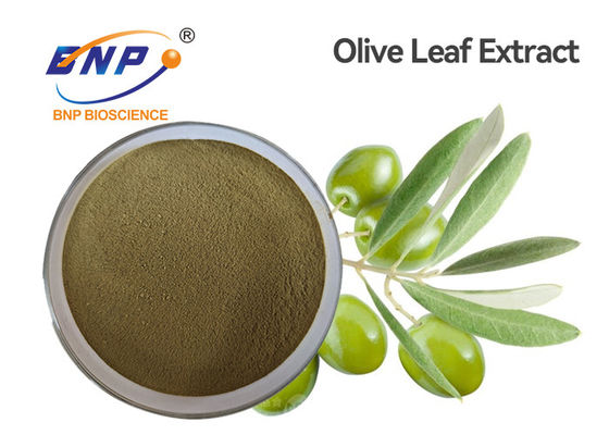 HPLC Bruine Gele Natuurlijke Oleuropein 60% Olive Leaf Extract Powder van Installatieuittreksels