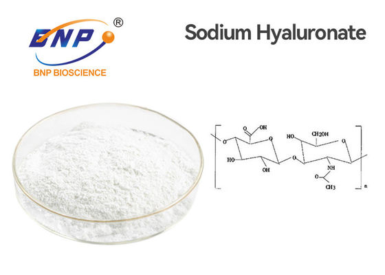 Hyaluronic Zuur het Poeder95% Natrium Hyaluronate van CAS 9004-61-9