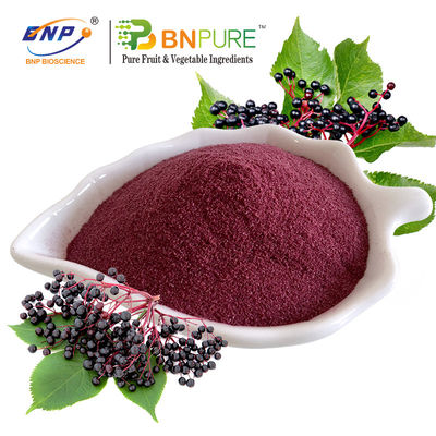 Vlierbessenpoeder Sappoeder 20% Polysaccharide plantenextract