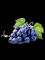 Het Uittreksel Vitis vinifera Proanthocyanidins 95% van het krenten en rozijnenzaad