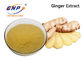 Het Voedselrang van Ginger Root Extract Gingerol 5%-10%