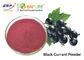 Purper Rood Blackcurrant het Fruituittreksel van Juice Powder Food Grade Ribes Nigrum