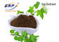 Het natuurlijke Ivy Leaf Extract Powder Hedera-10:1 of 10% Hederacoside C van het Schroefuittreksel