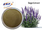 Het Uittreksel van fabrikantenSupply Sage Extract Powder Clary Sage
