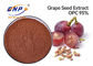 HPLC van het het Uittrekselpoeder van de Druivenhuid Polyphenols 70% Sambucus Nigra L.