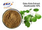 Asiaticoside80% Centella Asiatica Uittreksel voor Huid Witte Gotu Kola Extract Powder